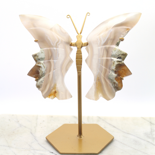 Flower Agate Butterfly Display
