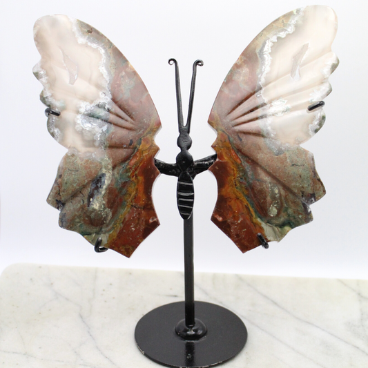 Moss Agate Druzy Butterfly Display